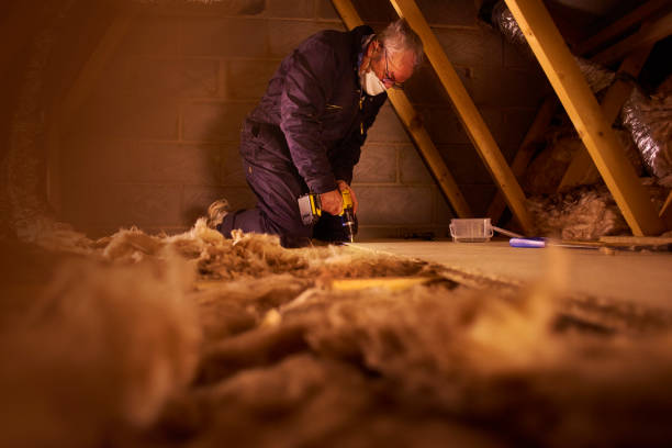 Best Energy Efficiency Insulation in Roselle, IL