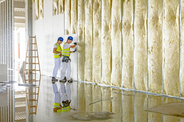 Best Spray Foam Insulation in Roselle, IL